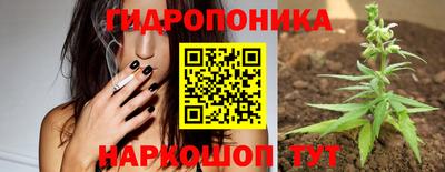 соль ск Можга