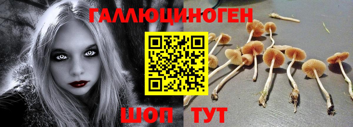 Псилоцибиновые грибы Magic Shrooms  купить наркотики цена  Урус-Мартан  Вход с VPN 